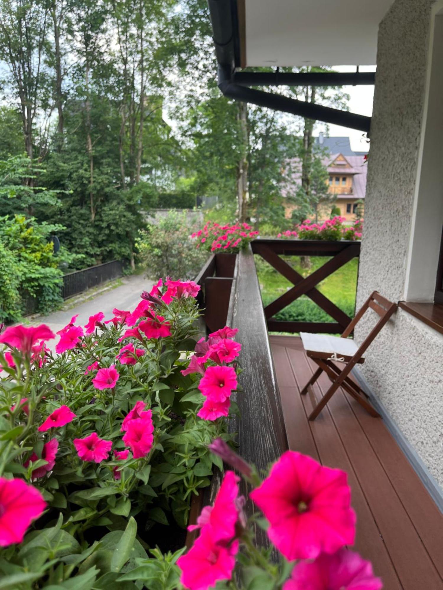 Marina Zakopane Bed & Breakfast 部屋 写真